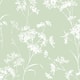 Option Seacrest Green
