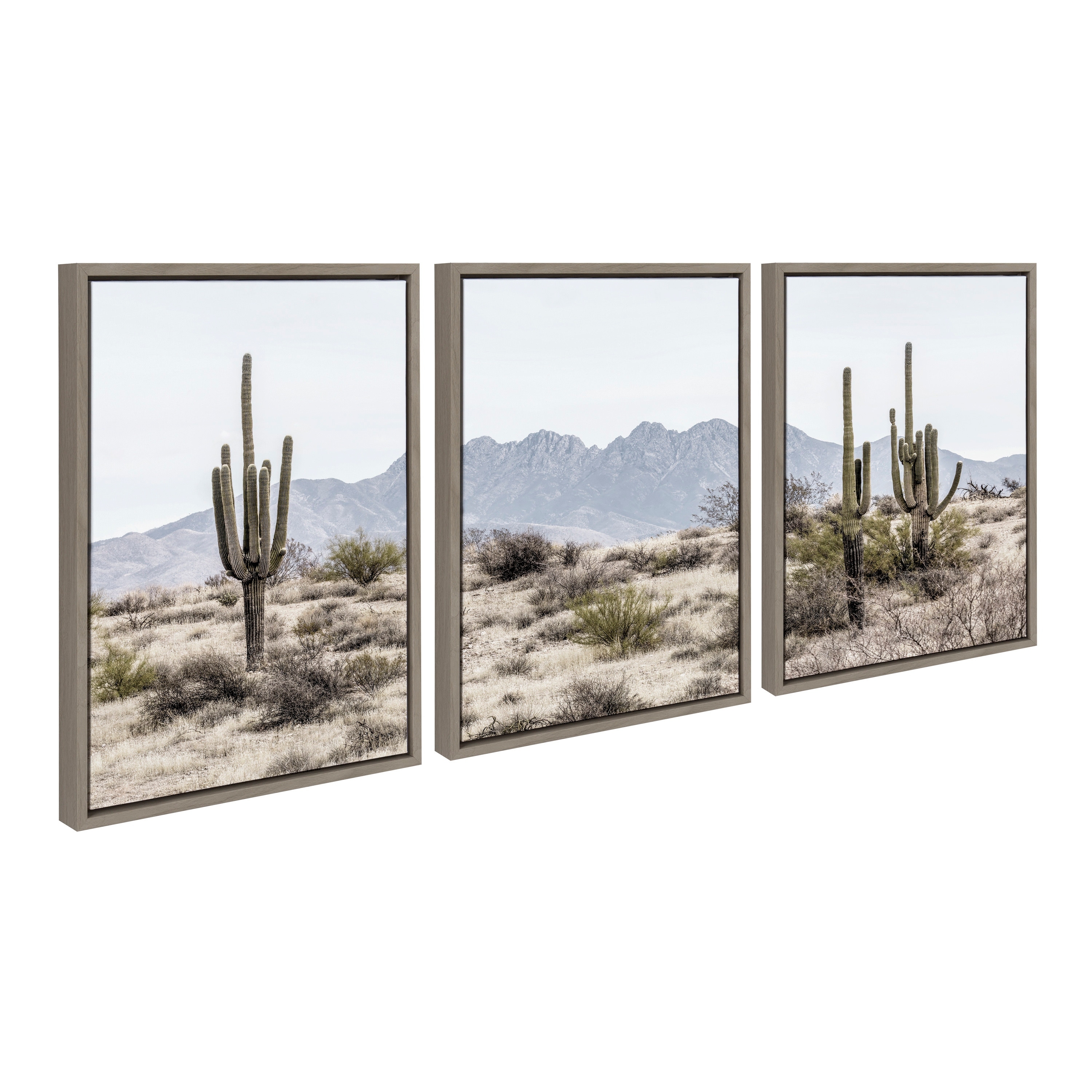 Kate and Laurel Sylvie Cacti Framed Canvas by Creative Bunch Studio