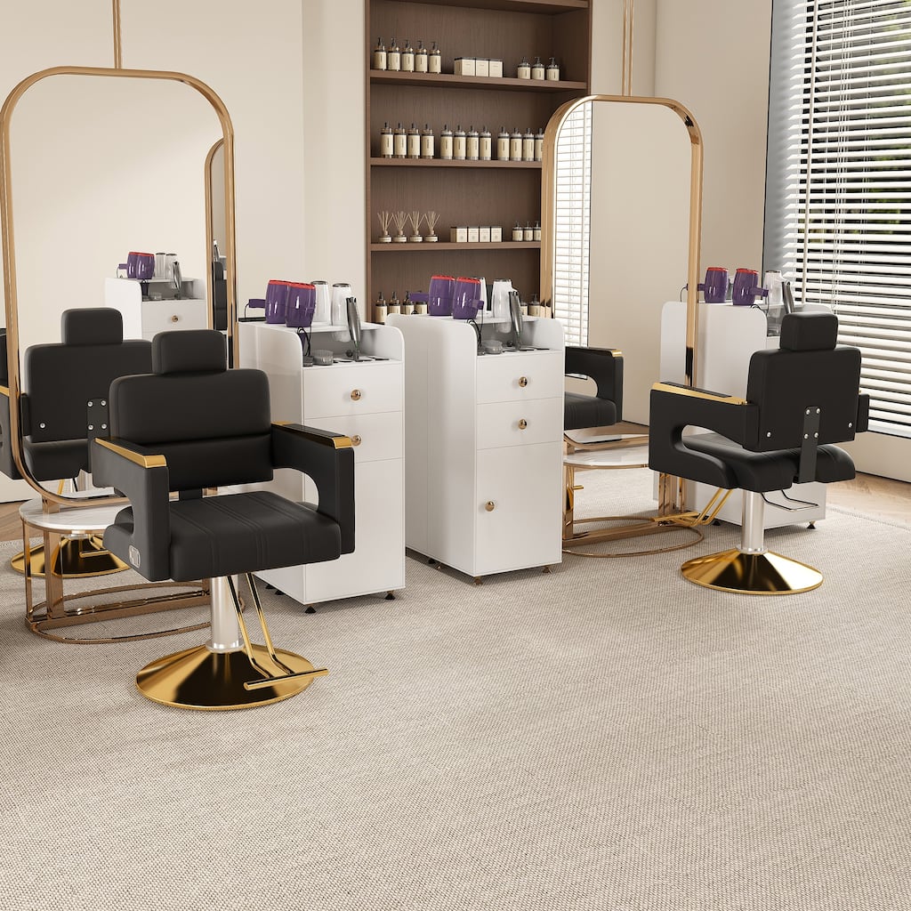 Roomfitters Hydraulic Barber Chair, Heavy Duty Reclining Salon Styling Chair with Gold Armrests, Black