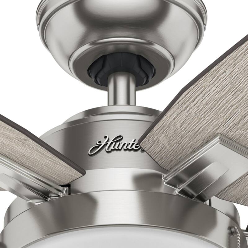 Hunter Morgantown Ceiling Fan with LED Light, Pull Chain - Transitional, Contemporary