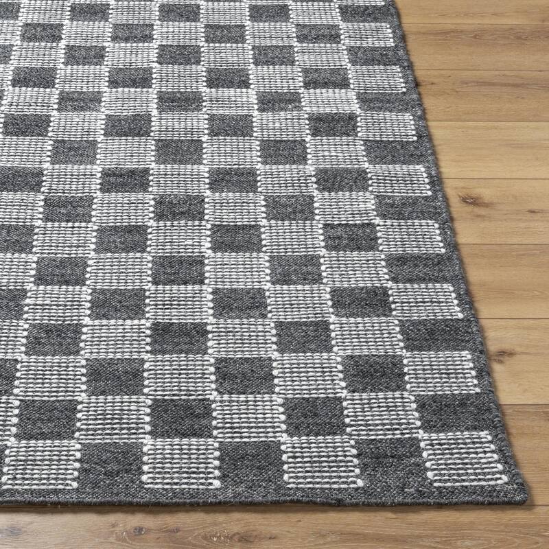 Braulio Transitional Checkered Wool Area Rug