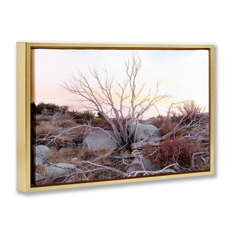 Stupell Rocky Foothills Terrain Framed Floater Canvas Wall Art Design By Gemma Bardot