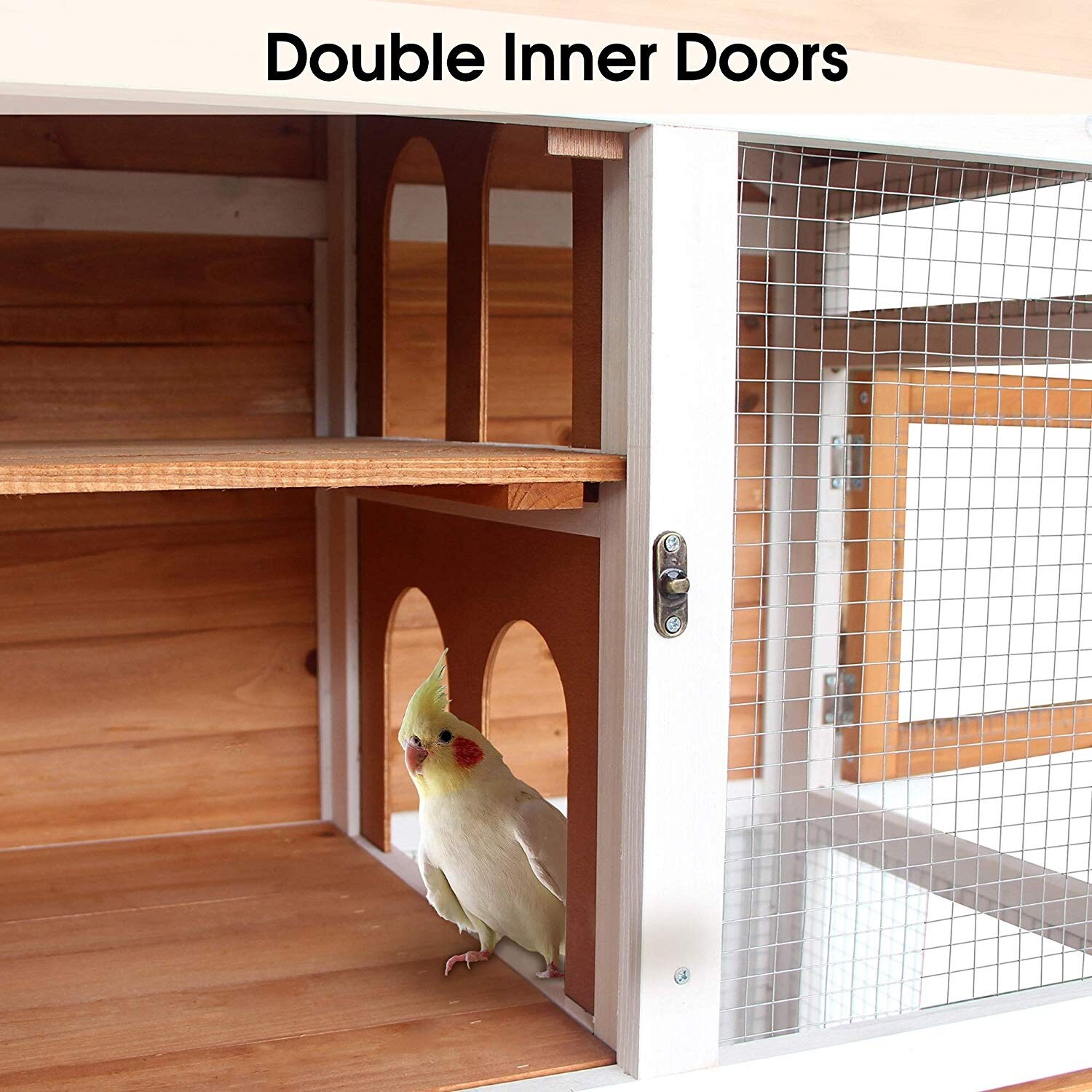 cage and aviary bird suppliers