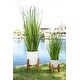 preview thumbnail 5 of 7, 50" Onion Grass in 10" Cathedral Ceramic Pot