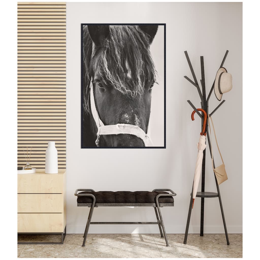 Kate and Laurel Black Horse by Emiko and Mark Franzen F2 Images Framed Canvas Wall Art Print