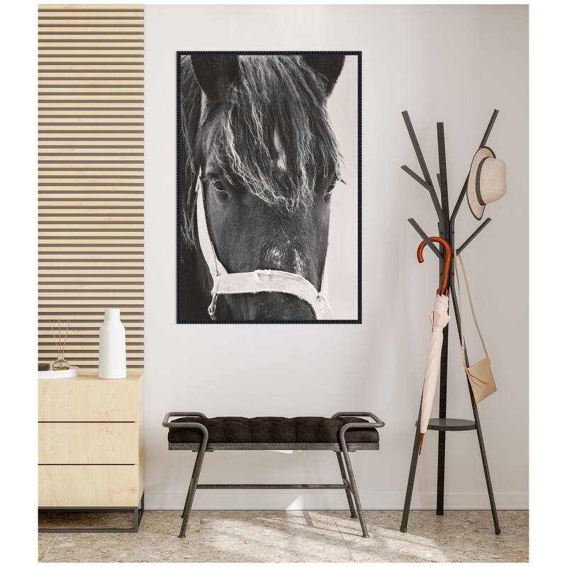 Kate and Laurel Black Horse by Emiko and Mark Franzen F2 Images Framed Canvas Wall Art Print