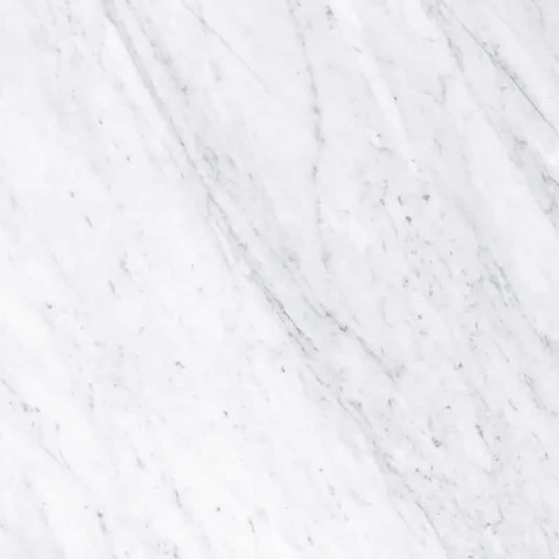 Regalia 24x24 in. Matte Color Body Porcelain Marble-look Vein Large Wall and Floor Tile (15.5 sq ft/case, 4-Pack)