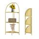 Option Gold Frame