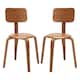 Option Walnut