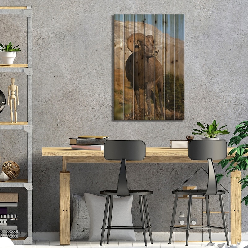 Rocky Mountain Bighorn sheep ram Print On Wood by Ken Archer - Multi-Color