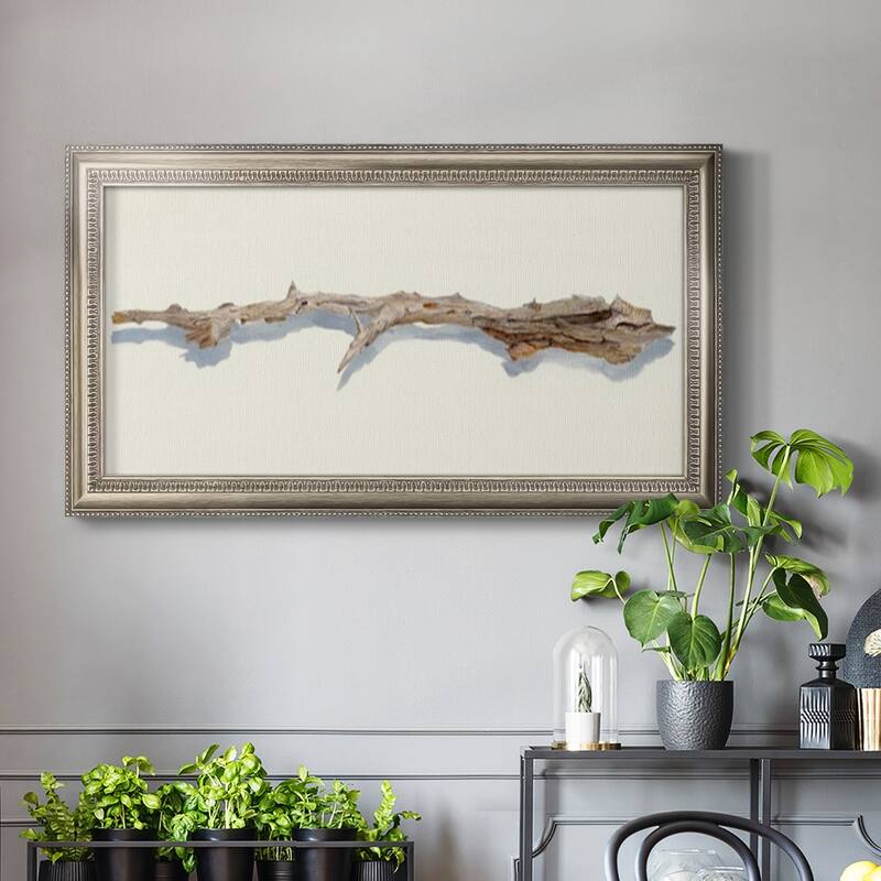 Driftwood Study I Premium Framed Canvas- Ready to Hang