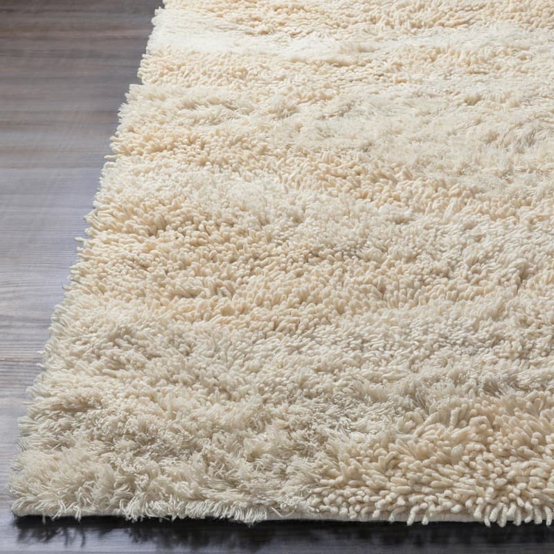 Livabliss Berkley Casual Area Rug.