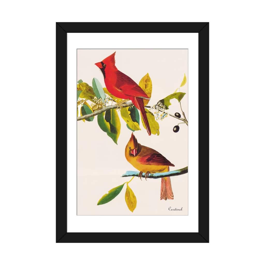 iCanvas "Cardinal" by John James Audubon