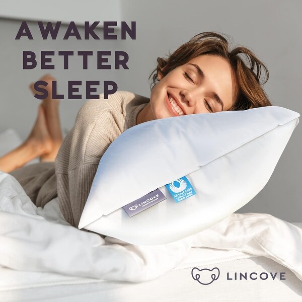 Lincove European Down Venus Pillow - 600 Fill Power - Count Shell