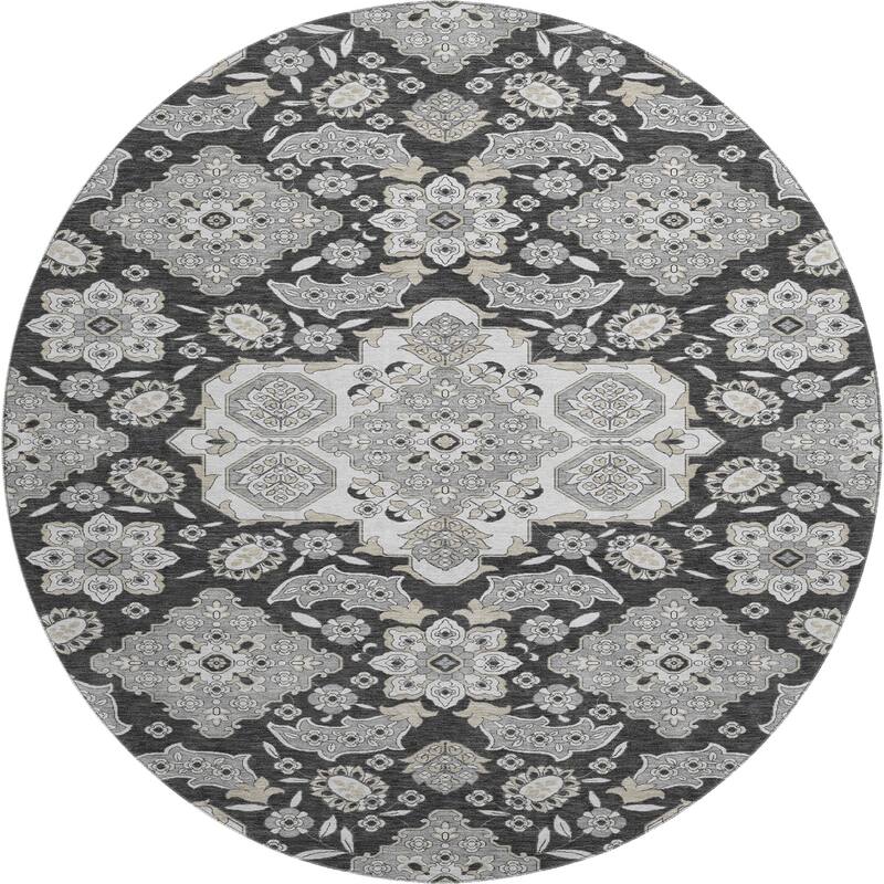 Premium Washable Super Soft Classic Traditional Mayfield Rug