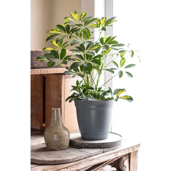 floor planter pot Salvaged Wood Floor Rectangles