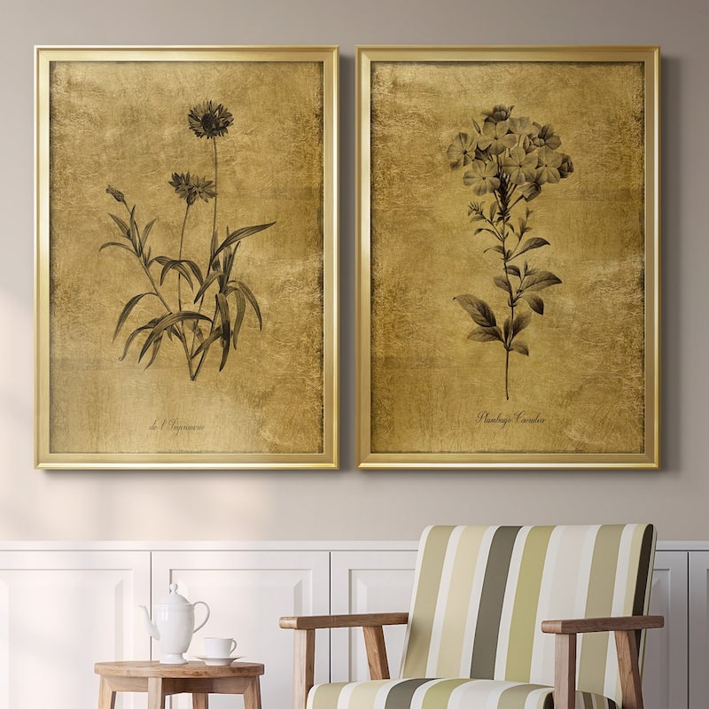Gold Sketch Botanical I Premium Framed Print - Ready to Hang - Multi-Color