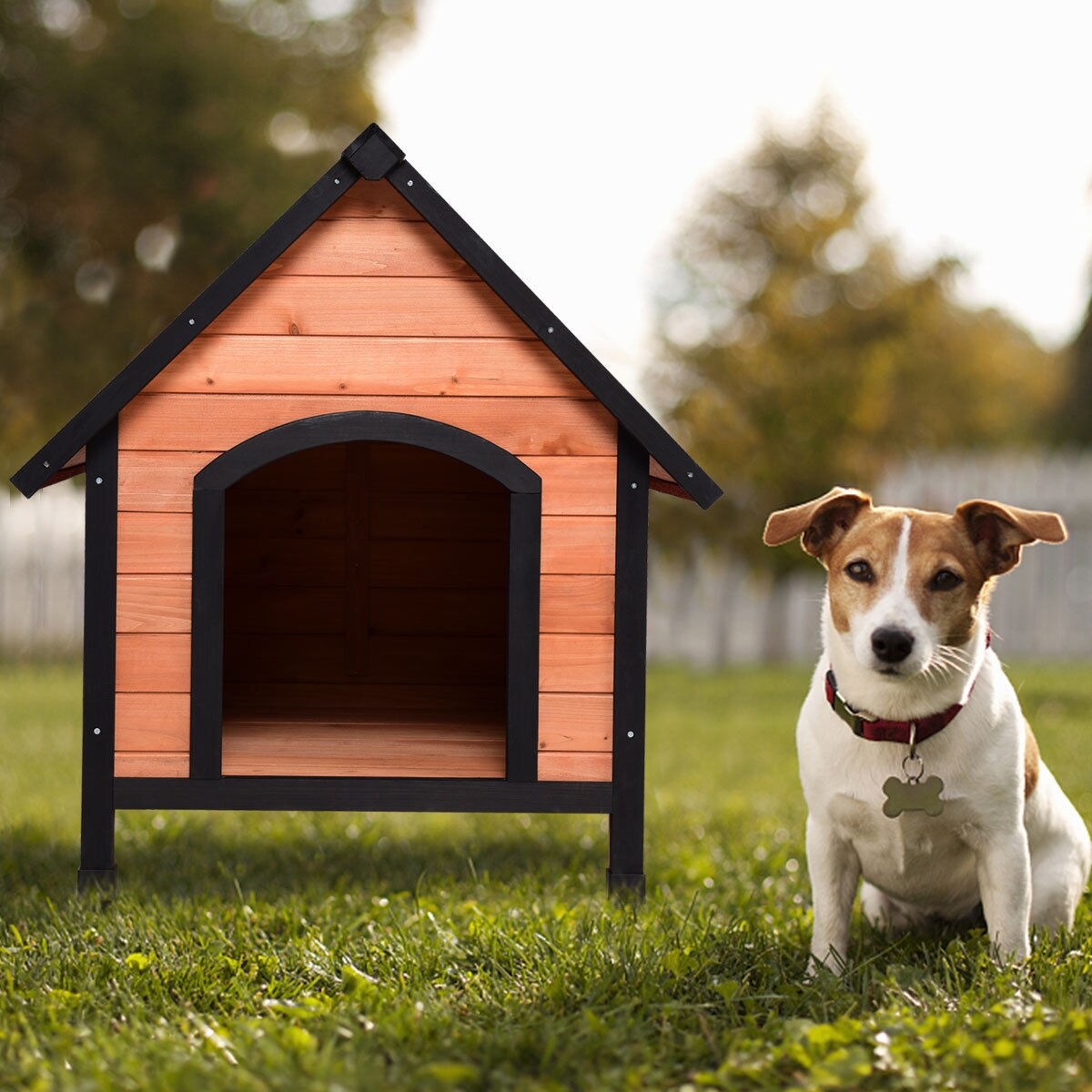 Gymax dog kennel 2025