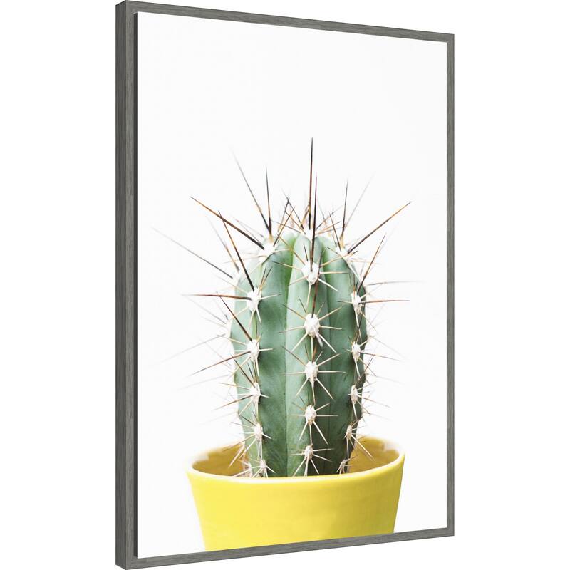 Spikey Cactus by Kathrin Pienaar Framed Canvas Wall Art Print - Sylvie Greywash