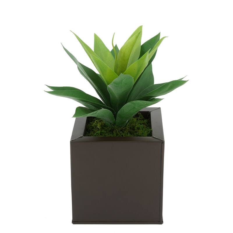 Faux Frosted Light Green Succulent in Square Zinc Planter