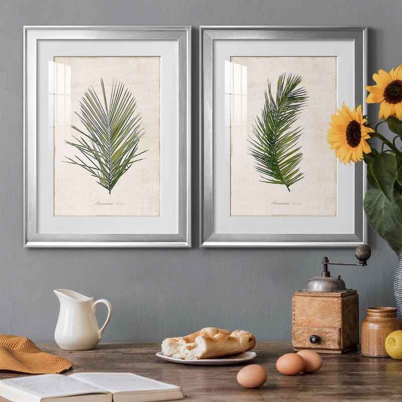 Palm Botanical I Premium Framed Print - Ready to Hang