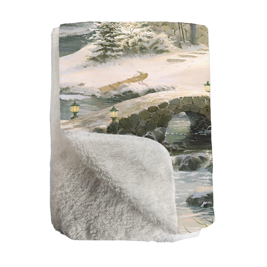 Winter sherpa blanket best sale