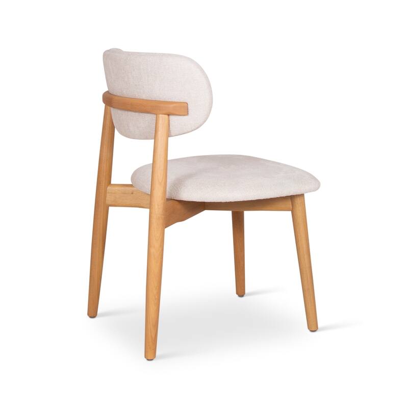 Modern Brazilian - Lucia Side Chair