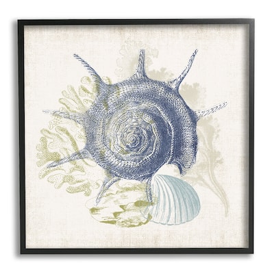Stupell Intricate Conch Seashell Drawing Layered Coral Botanicals Framed Wall Art, Design by Victoria Barnes