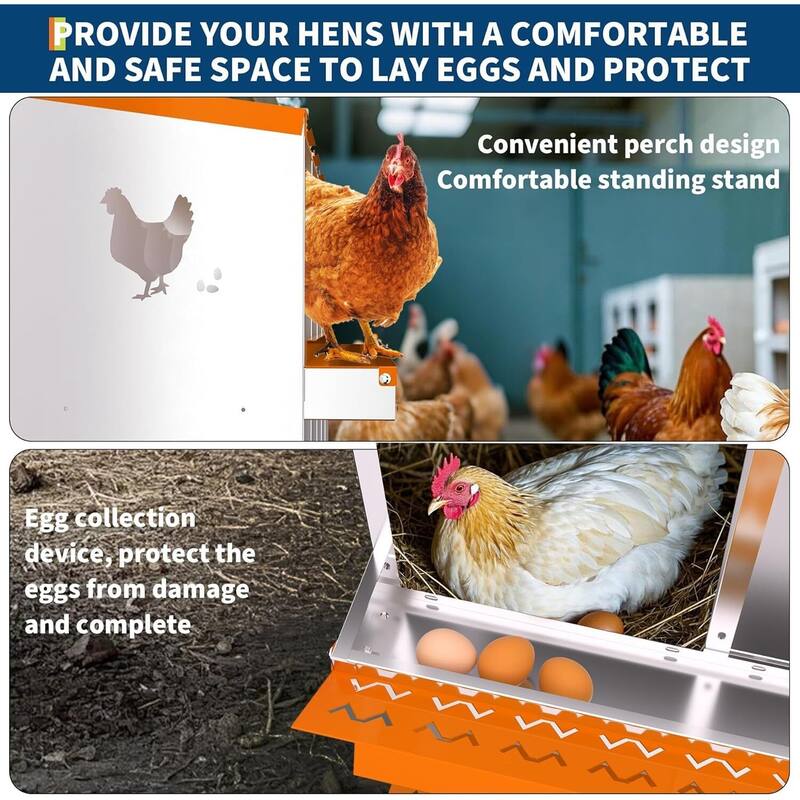 6 Compartment Metal Chicken Nesting Box, Laying Box for Hens Ducks Rabbits, Orange