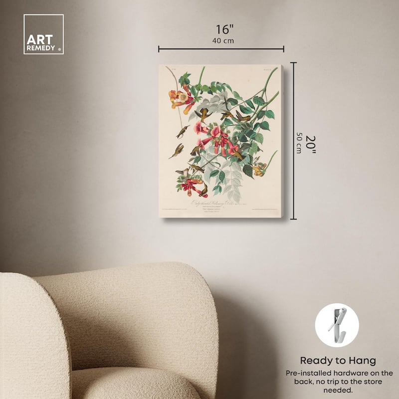 Trochilus Colubris Canvas by Art Remedy, Gallery Wrapped