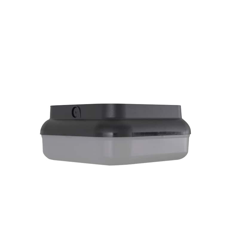Craftmade ZA6407 Resilience Lanterns 2 Light 10" Wide Flush Mount - Textured Black