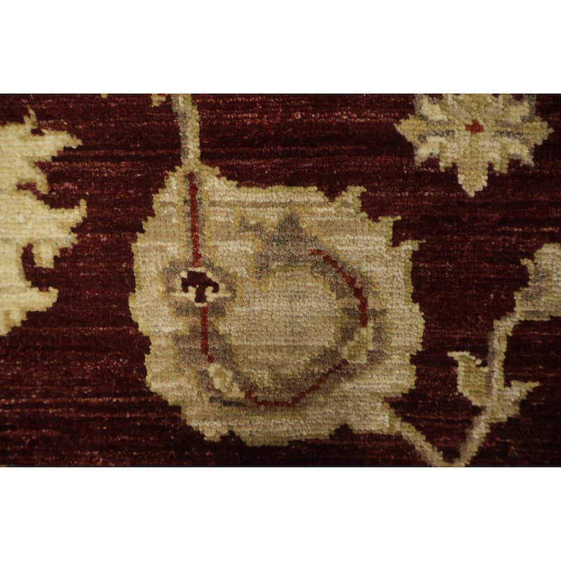 Hand Knotted Oriental 100% Wool Carpet Traditional All-Over Red Peshawar Area Rug - 9' 1'' X 6' 0''