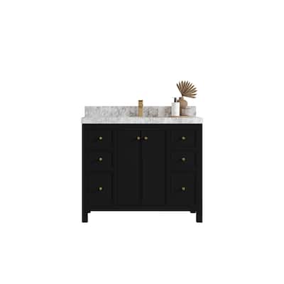 Willow Collections 42 in. W x 22 in. D Chicago Single Sink Bathroom Vanity with Countertop