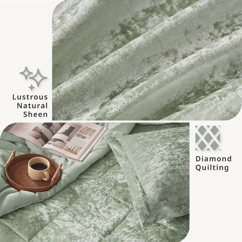 Intelligent Design Isabel Velvet Comforter Set