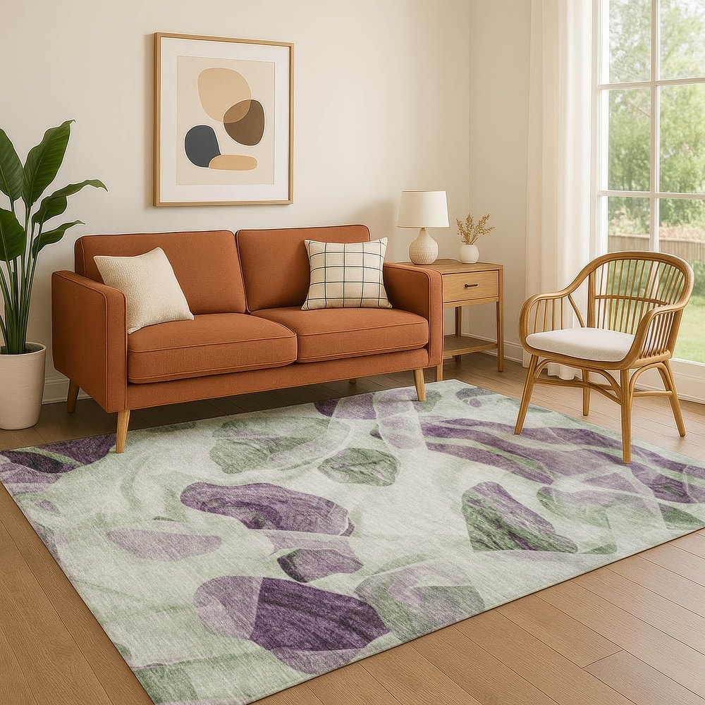 Premium Washable Super Soft Contemporary Jenna Mayfield Rug