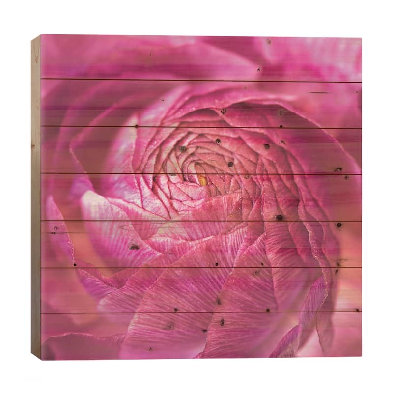 Ranunculus Abstract II Print On Wood by Laura Marshall - Multi-Color - 26x26x1.5