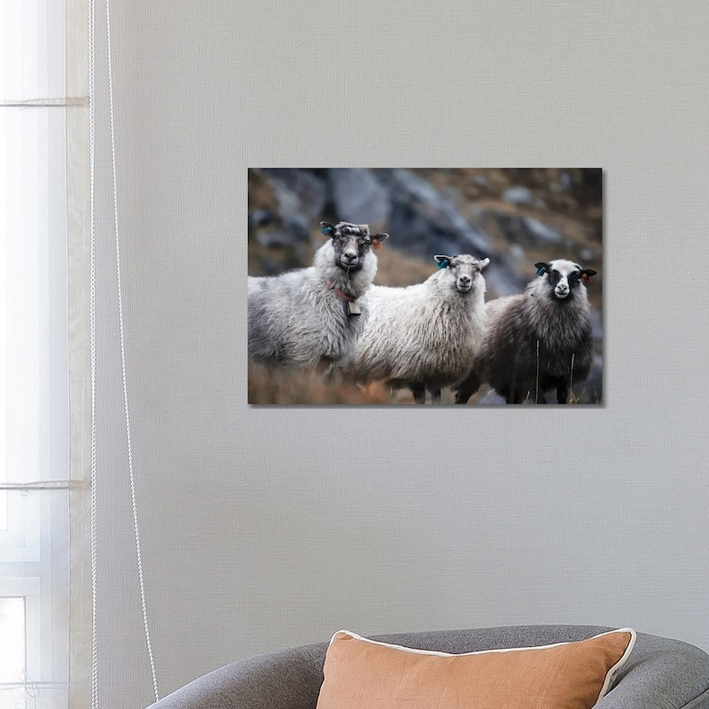 iCanvas "Wool Entourage" by Andreas Stridsberg Canvas Print - 18x26x1.5