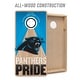 preview thumbnail 4 of 5, Carolina Panthers NFL 2x4 Professional Cornhole Board Set
