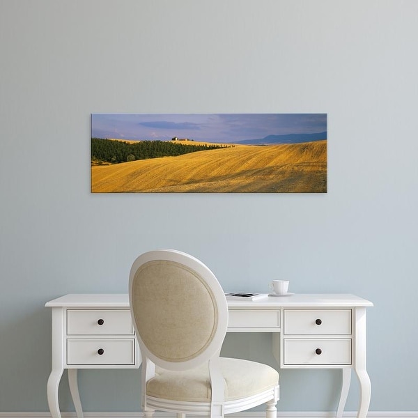 Easy Art Prints Panoramic Images's 'Trees on a landscape, Pienza, Siena Province, Tuscany, Italy' Premium Canvas Art