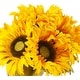 preview thumbnail 3 of 1, Enova Home 7 Heads Artificial Silk Sunflowers Fake Flowers Arrangement in Cube Glass Vase with Faux Water for Home Office Decor