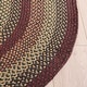 preview thumbnail 115 of 146, SAFAVIEH Handmade Braided Chandrima Cotton Rug