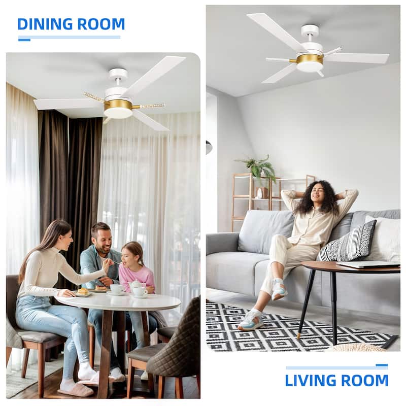 Modern 60 inch Ceiling Fan with Light and Remote Control