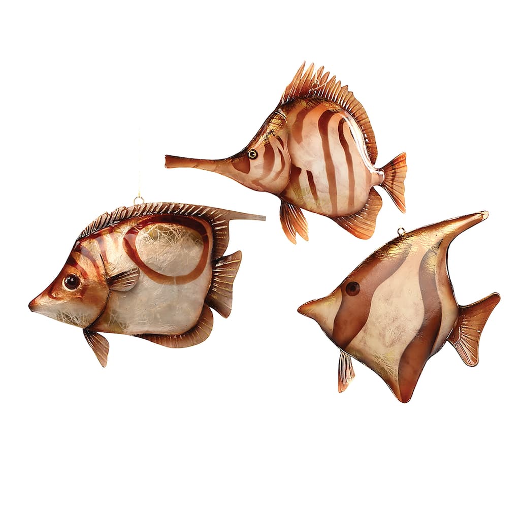 Tortoiseshell Fish Ornament Set of 3 - 5.75" - 7"