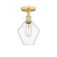 Option Clear / Satin Gold