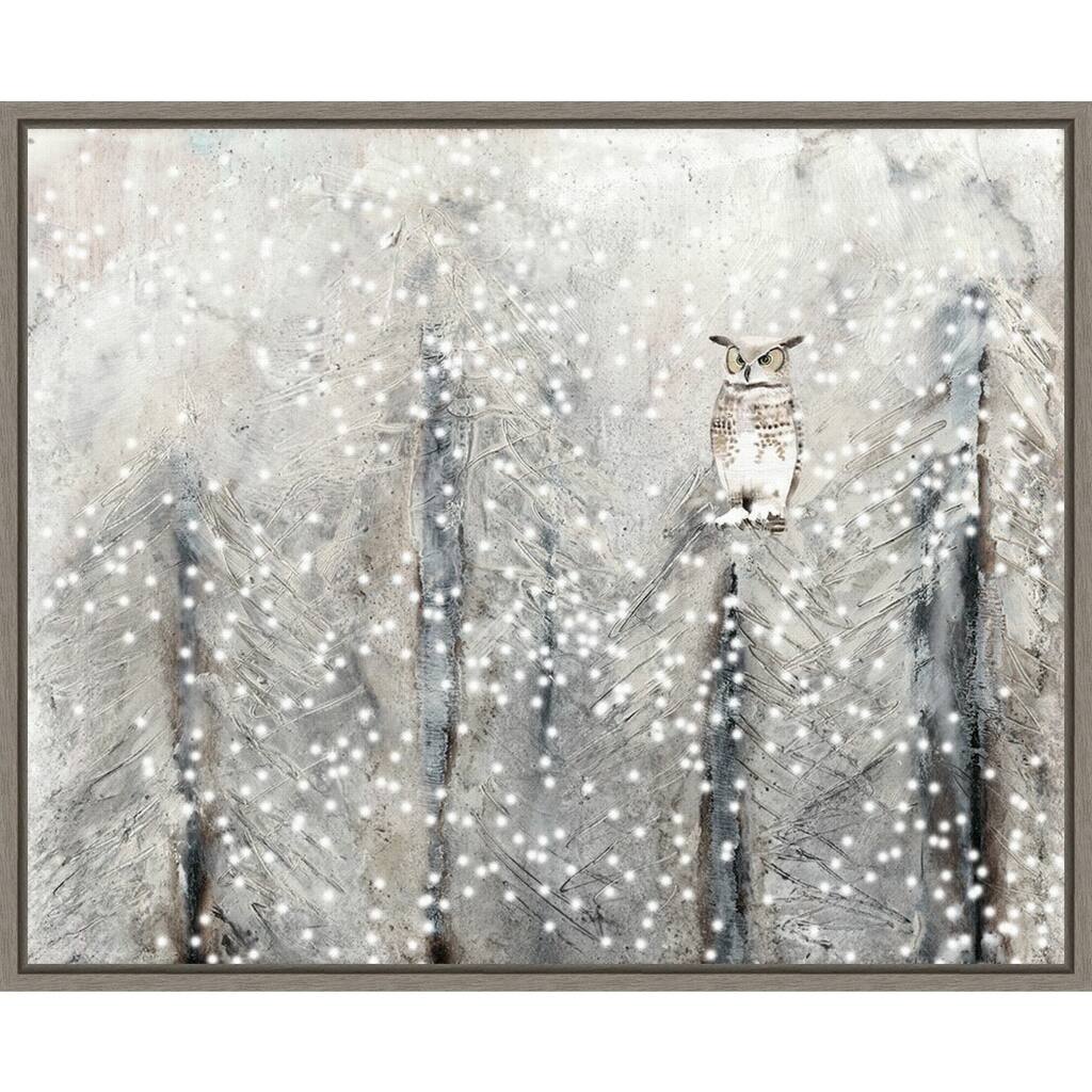 Snowy Habitat I (Owl) by Alicia Ludwig Framed Canvas Art