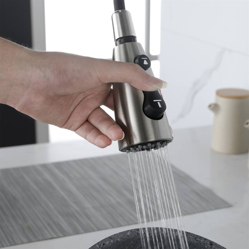 Kitchen Faucet with Pull Down Sprayer Stainless Steel