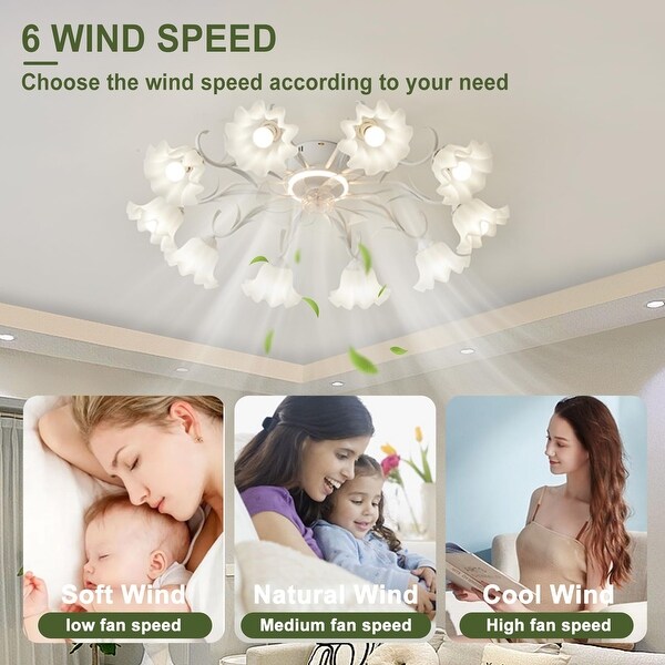 PERSONZ 　WONDERFUL MEMORIES LIGHT Light Socket Fan with Remote 12”, Screw in Socket Fan Light