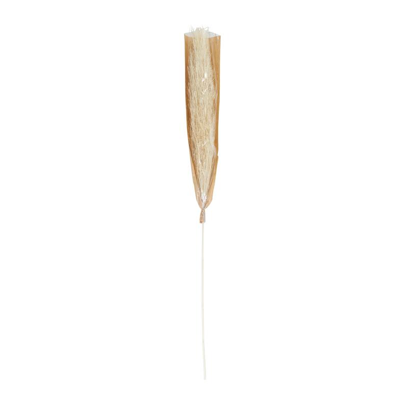 Brown Dried Plant Tall Pampas Grass Home Decor Natural Foliage