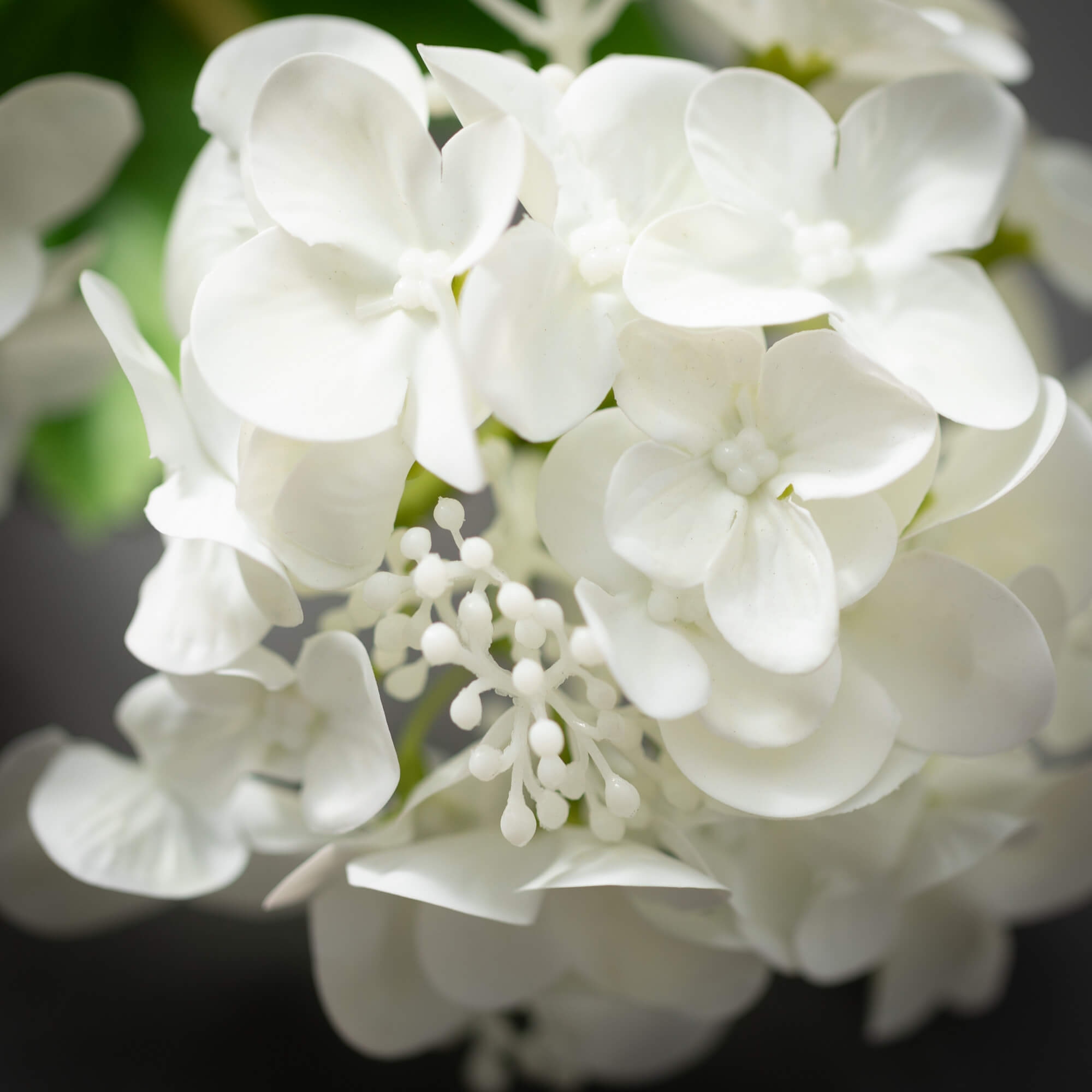Hydrangea4936　0705 Designart 