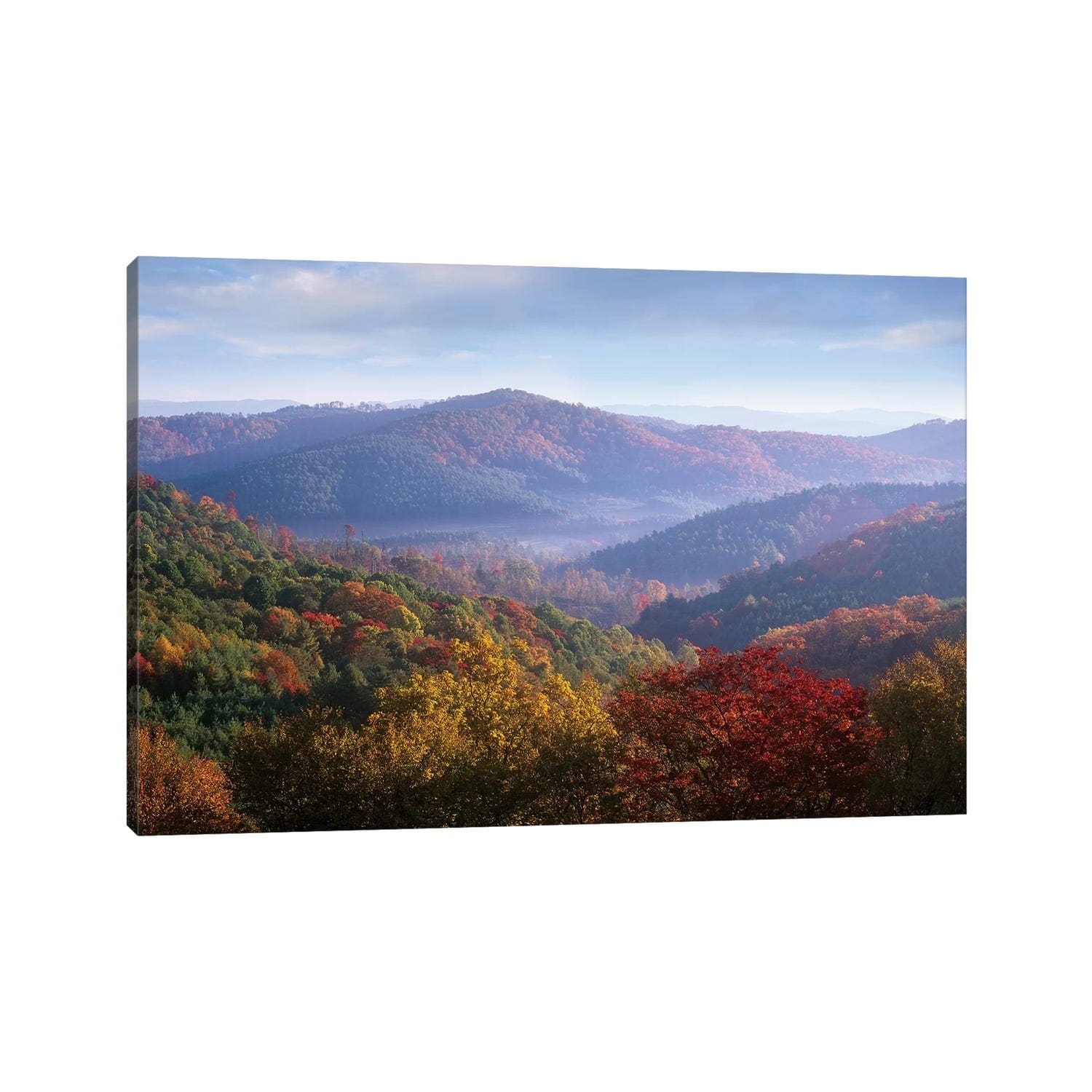 iCanvas "Autumn Deciduous Forest From The Blue Ridge Parkway, North Carolina" by Tim Fitzharris Canvas Print